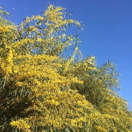 Casa Nicolas * מאלגה