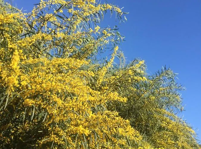 Casa Nicolas * مالقة